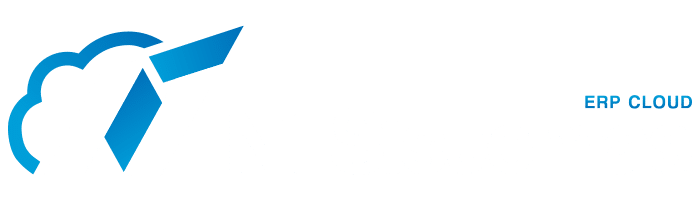 N1 Sistemas